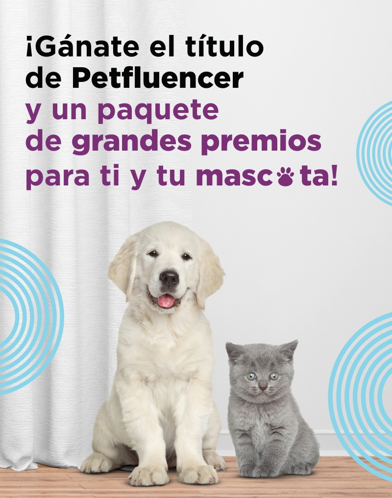 Petfluencer - La Ceja