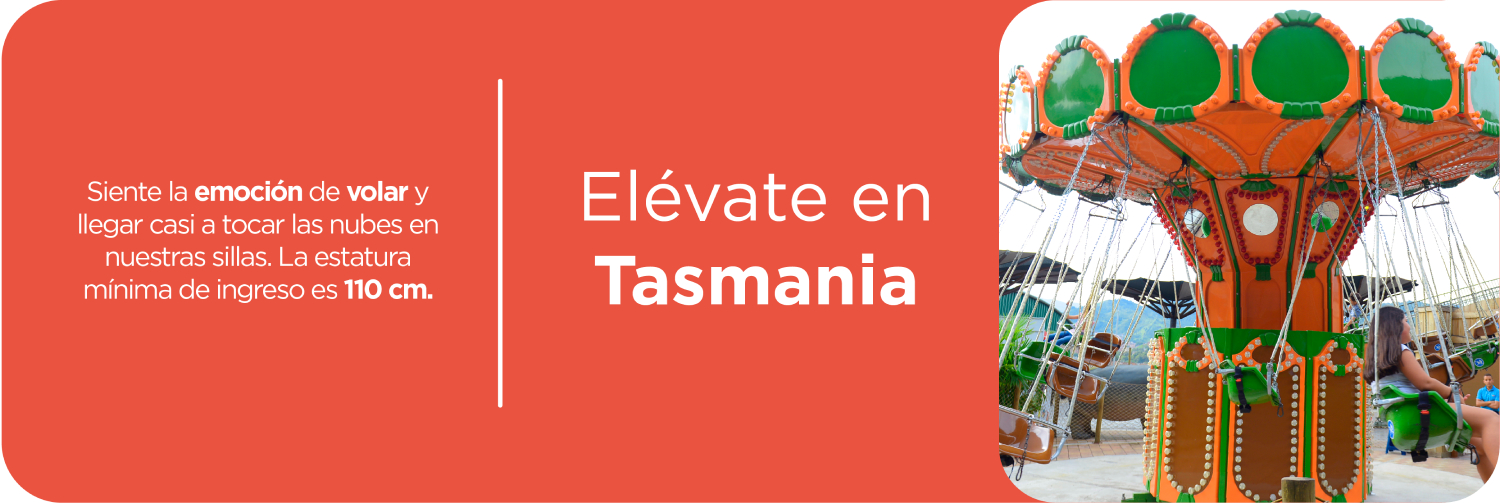 Tasmania - Envigado