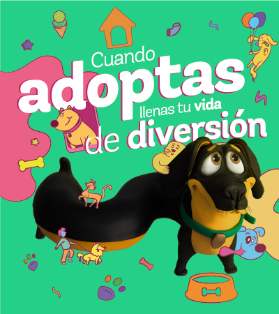 Jornada de adopción - Villavicencio